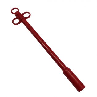 Introducer for magnets