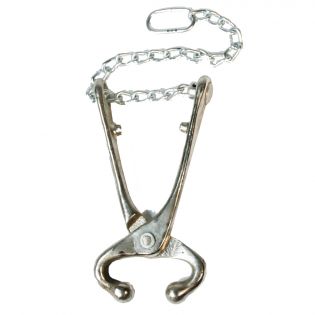 Bull holder with chain
