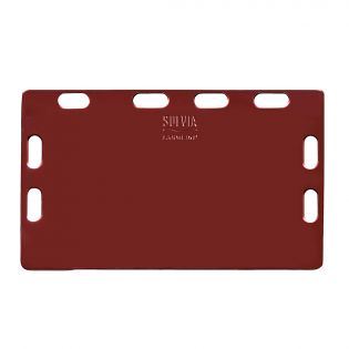 Sorting panel for pigs, 49'' (125 cm)