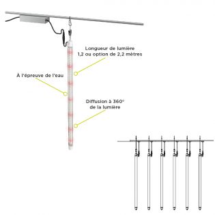 Lumière FloraTube pour fruits & légumes, 200 W, 120-277 V