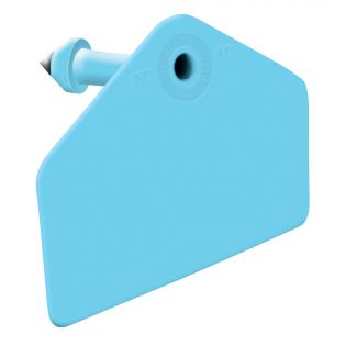 Global Pig Ear Tags, Blue Blank, 25 Pack