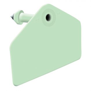 Global Pig Ear Tags, Green Blank, 25 Pack