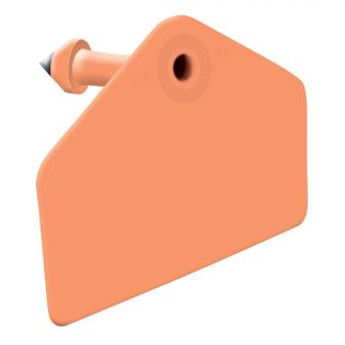 Global Pig Ear Tags, Blank Orange, 25 Pack