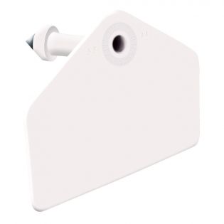 Global Pig Ear Tags, Blank White, Pack of 25