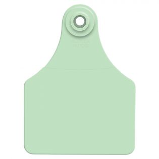 Global Large Cattle Ear Tags, Green, 25 Pack