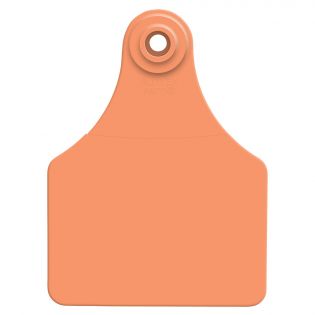 Global Large Cattle Ear Tags, Orange, 25 Pack