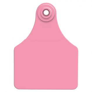 Global Large Cattle Ear Tags, Pink, 25 Pack