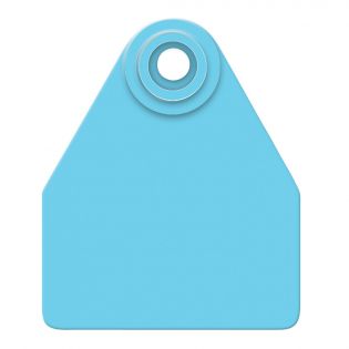 Global Medium Calves Ear Tags, Blue, 25 Pack