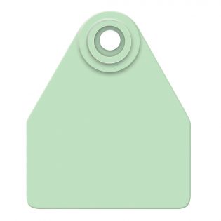 Global Medium Calves Ear Tags, Green, 25 Pack