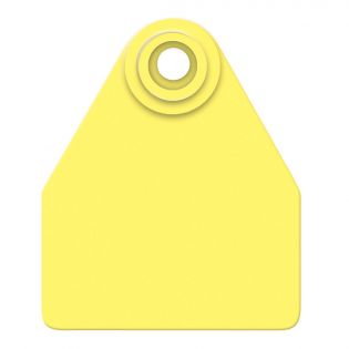 Global Medium Male Calf Ear Tags, Yellow, 25 Pack