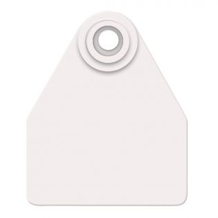 Global Medium Calves Ear Tags, White, 25 Pack