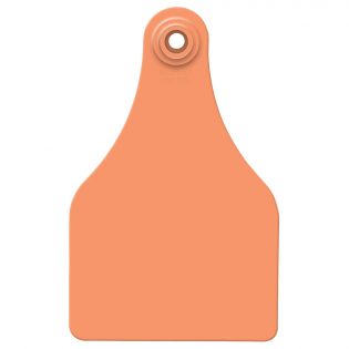 Attache femelle super maxi pour vaches, orange vierge