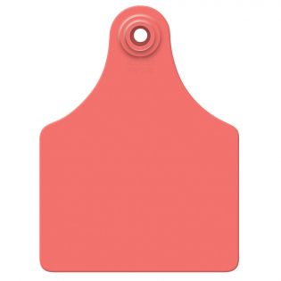 Attache femelle maxi pour vaches et veaux, rouge vierge