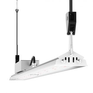 Lumière au Led Vedgz Bloom pour fruits et légumes, 150 W