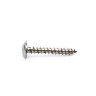 Vis en acier inoxydable pour panneaux PVC, 1 1/4'',BTE (100)