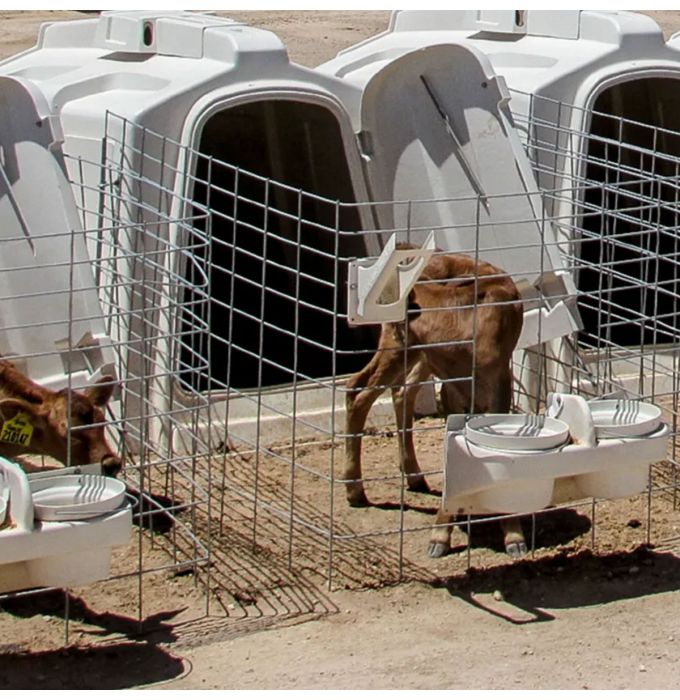 EXL Agri-Plastics single calf hutch, right door Agriclé