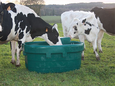 cow pasture tanks